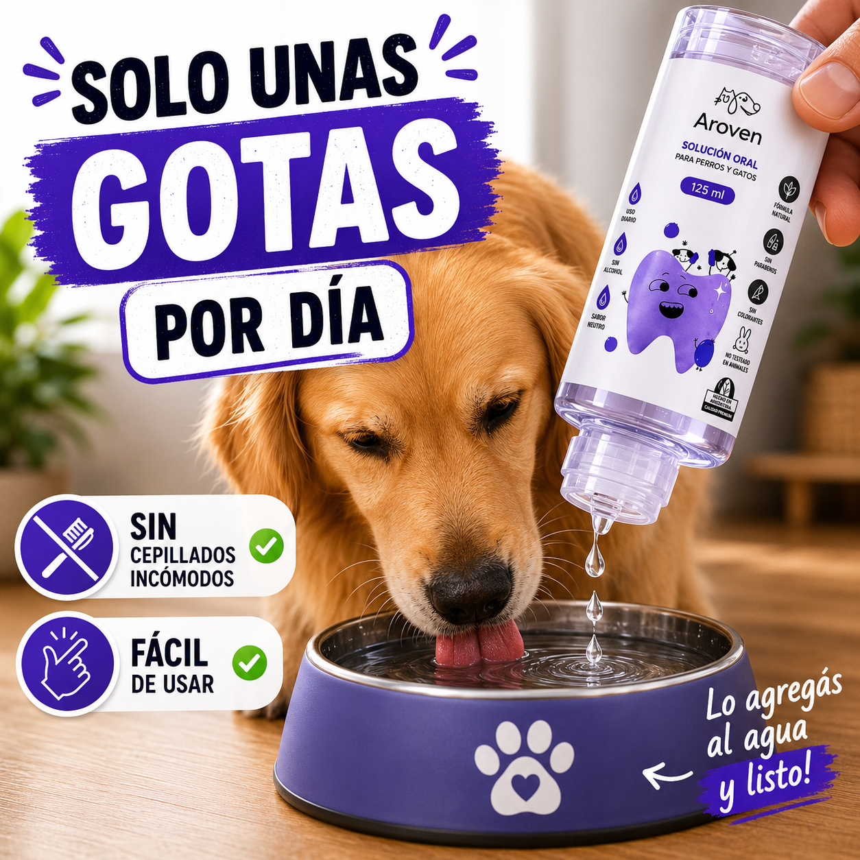 Cada vez que bebe, cuida su boca🐾